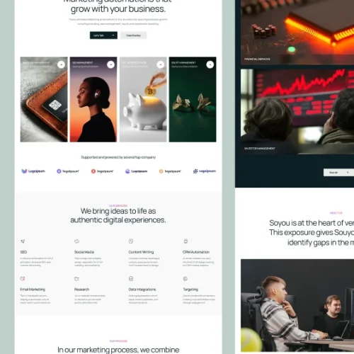 website - 3